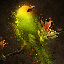 云办公平台的手机号测压app